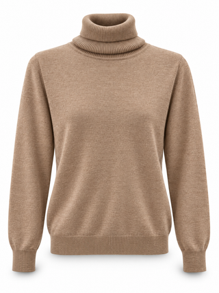 Rollkragenpullover 2610016