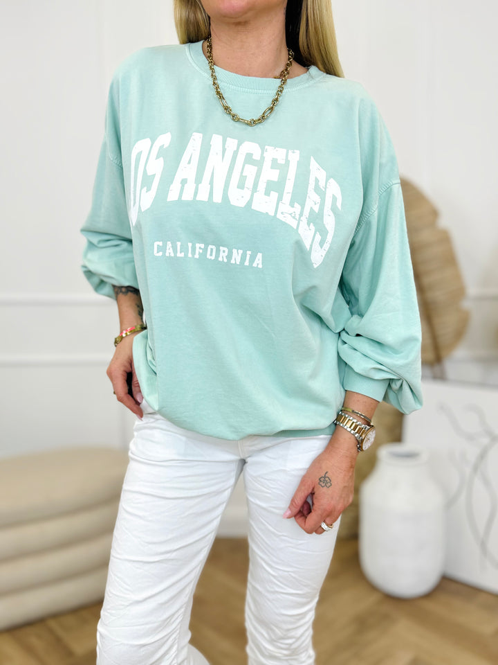 Hoodie Leo  2310155